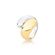 30889_anel_liso_duas_voltas_banho_misto_ouro_rodio_semijoias_rosa_valverde
