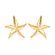 32634_brinco_fixo_estrela_do_mar_lisa_seychelles_ouro_semijoias_rosa_valverde.jpg