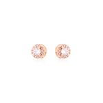 33957-brinco-ponto-de-luz-banho-ouro-rose-18k-rosa-valverde-semijoias.jpg