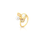 34597-anel-formas-geometricas-banho-ouro-18k-rosa-valverde-semijoias