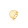 35539-anel-texturizado-riscos-abaulado-liso-banho-ouro-18k-atelie-rosa-valverde-semijoias