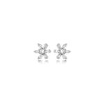 30314-brinco-estrela-banho-rodio-cristal-atelie-rosa-valverde-semijoias