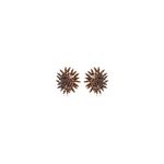 36540-brinco-estrela-estacas-cravejada-banho-ouro-18k-zirconia-atelie-rosa-valverde-semijoias