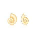 37914-brinco-caracol-liso-banho-ouro-18k-rosa-valverde-semijoias
