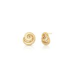 40611-brinco-liso-caracol-vazado-banho-ouro-18k-rosa-valverde-semijoias